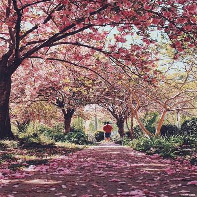 阿SUE的野外跑酷